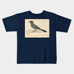 Black Bulbul by Frederick John Shore Kids T-Shirt